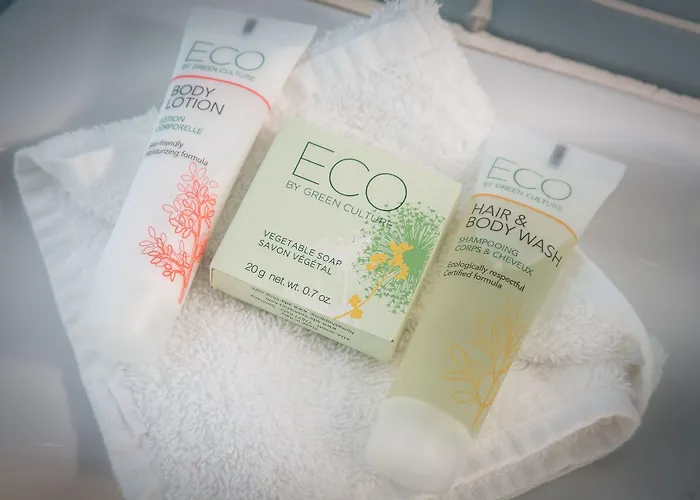 酒店 Vatel 4* Superior 4*