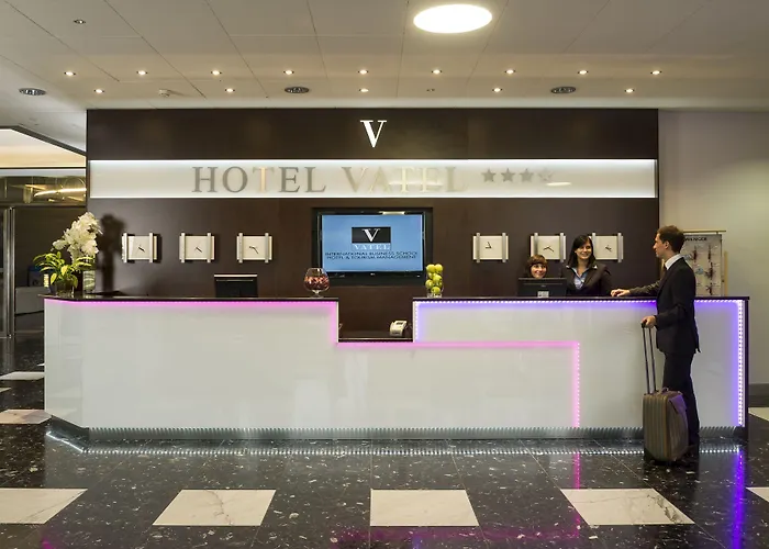 Vatel 4* Superior 酒店 Martigny