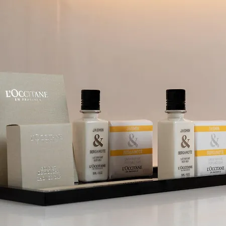 호텔 Vatel 4* Superior Martigny