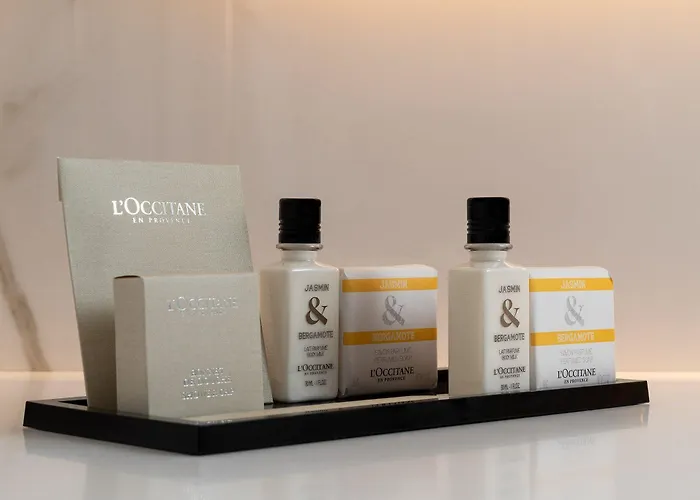 Hotel Vatel 4* Superior Martigny